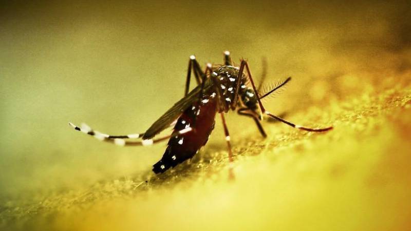 cinde halk sagligi acil durumu ilan edildi Z49FxJhj