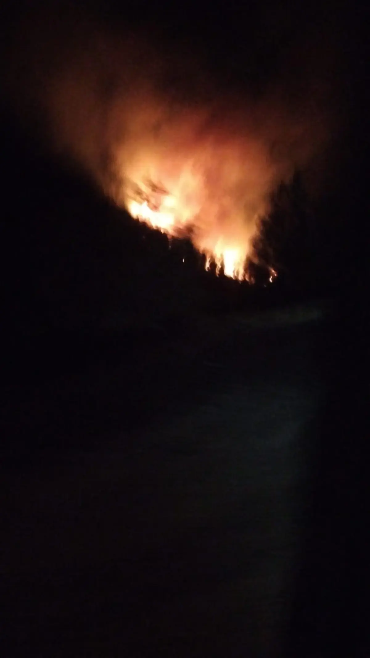 koycegizde orman yangini R7kkhj3l