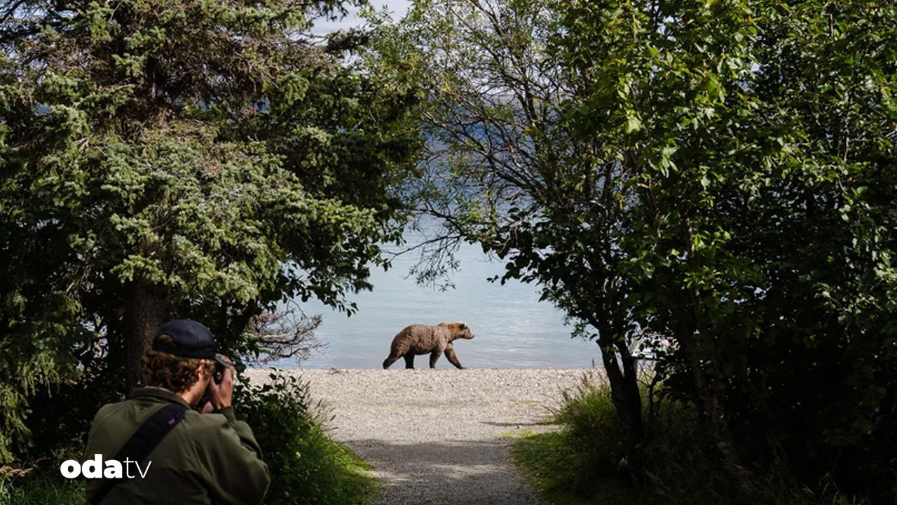sisman ayi haftasi basladi alaska sampiyonunu ariyor wRvhadrn