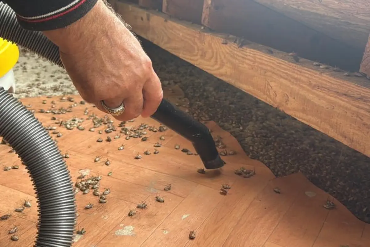 artik tum turkiyenin belasi marketleri de istila edecekler F2fxKOld.jpg