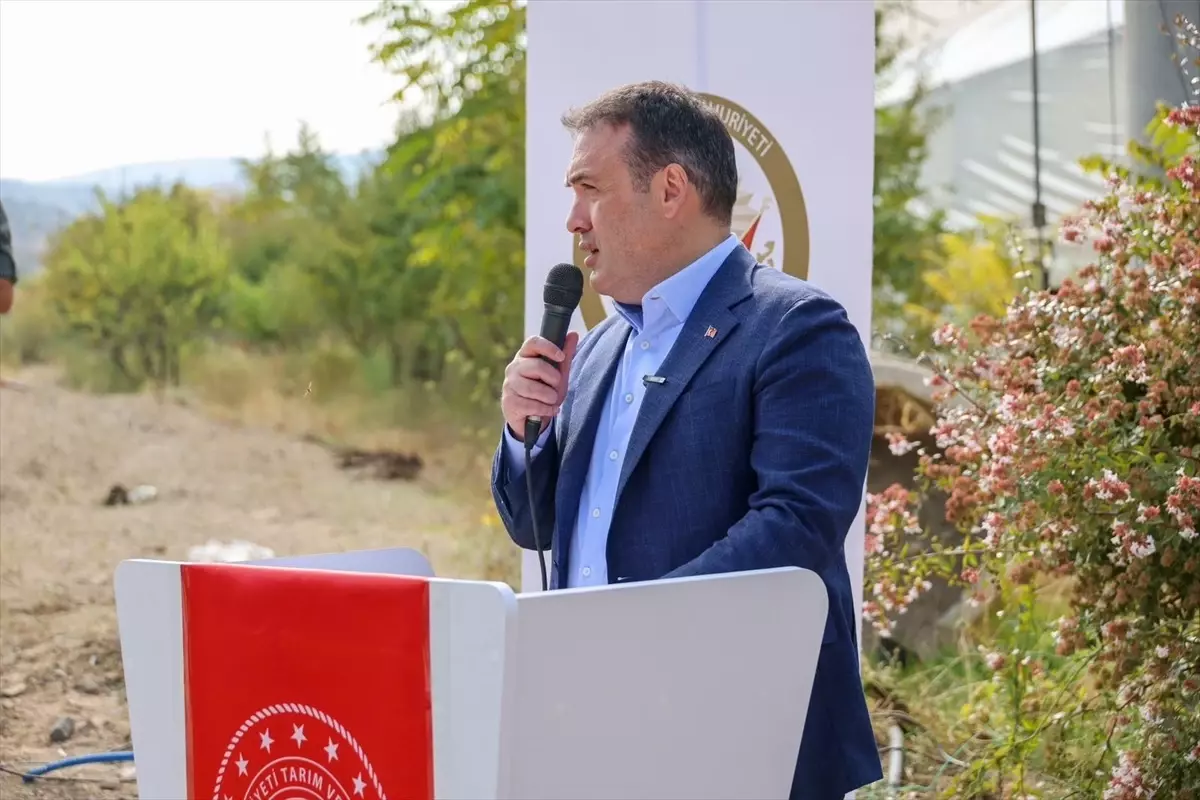 bilecikte ciftcilere marul fideleri dagitildi HY3sH9n3.jpg