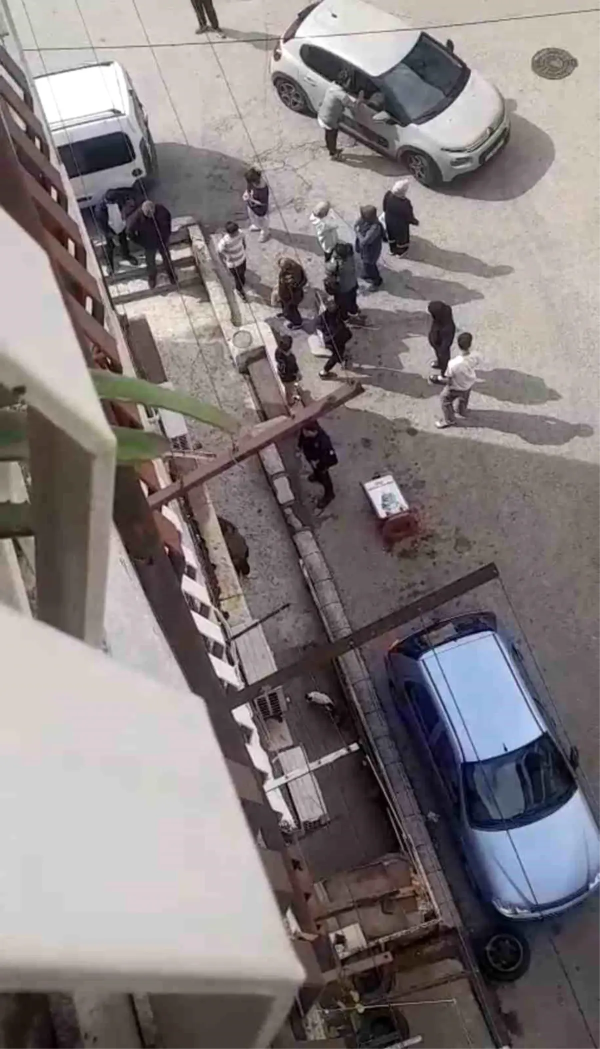 bursada petshopta taciz iddiasi RCXL6kOM