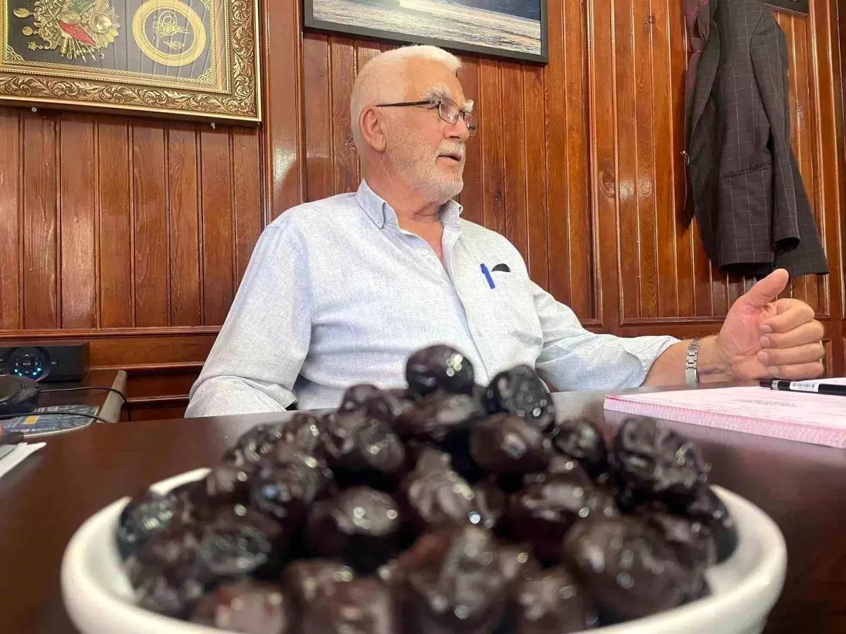 bursadan isvicreye zeytin ihraci 7xvgOnKd.jpg