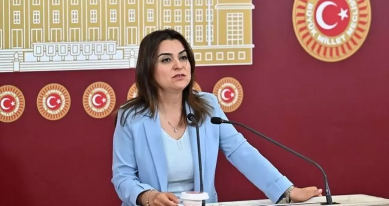 gulistan kilic kocyigit kimdir dem parti grup baskanvekili gulistan kilic kocyigit kac yasinda nereli 6rqmxQQS