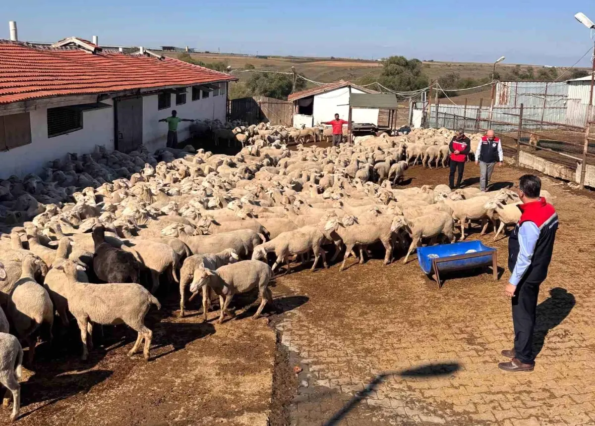 tekirdag tarim ve orman il muduru ciftcileri ziyaret etti PEupuRTV.jpg