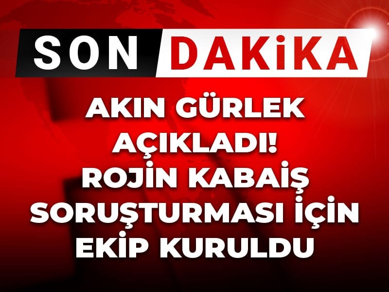 Rojin Kabaiş Soruşturması İçin Özel Ekip Kuruldu