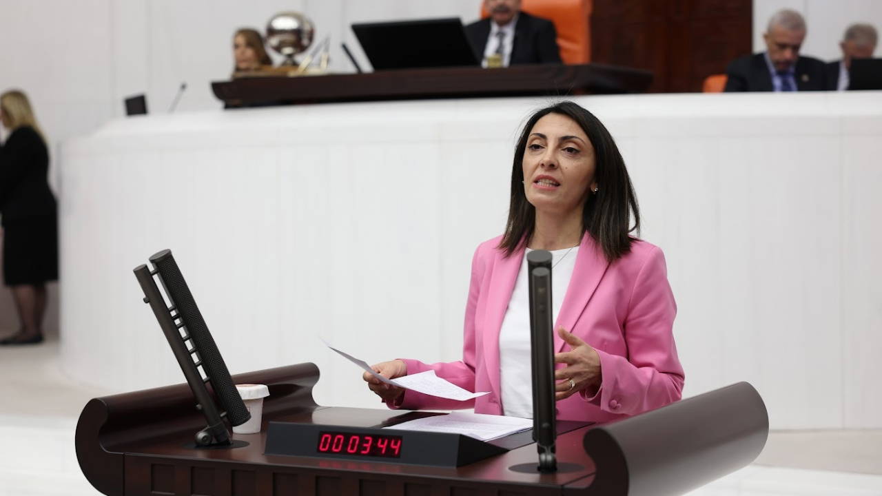 CHP’li Kayışoğlu’ndan İktidara Sert Enflasyon Eleştirisi: “Emeklinin Hesapları Sadece Kuruşla Yapılıyor”