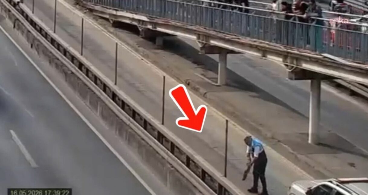 Metrobüs Hattında Yavru Kedilere Kurtarma Operasyonu