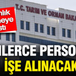 Bakanlik dugmeye basti binlerce personel ise alinacak CsCKyqzu
